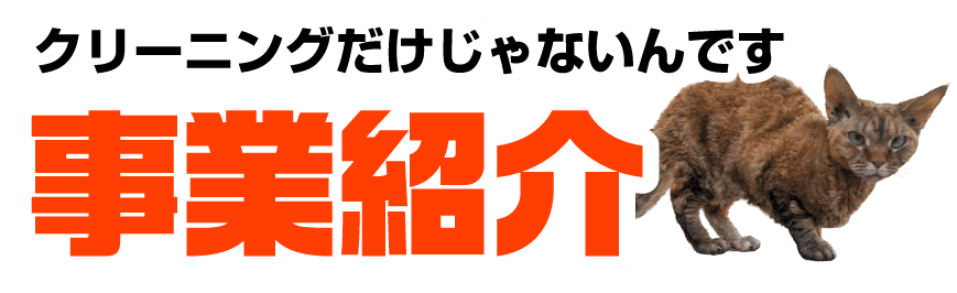 クリーニングだけじゃないんです 事業紹介