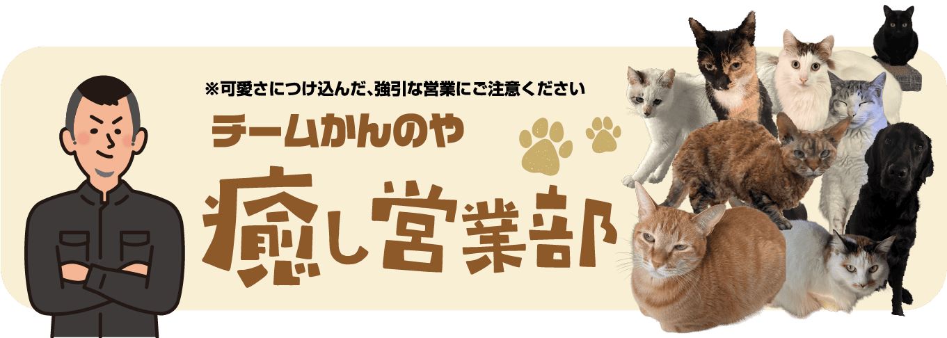 チームかんのや 癒し営業部