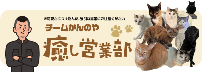 癒し営業部
